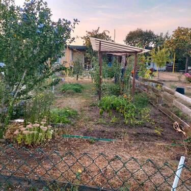 Foto - Grundst&uuml;ck in Bad Düben