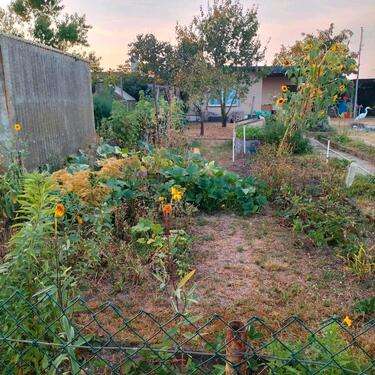 Foto - Grundst&uuml;ck in Bad Düben zur Miete