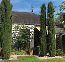 Exklusives Traumhaus in Übach von privat in Sackgasse - Übach-Palenberg