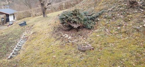 Foto - Grundst&uuml;ck in Glashütte