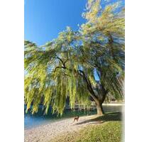 noch über Silvester frei! kleine Villa am Ledrosee mit Sauna - Schillingsfürst