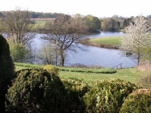 Foto - 2.5 Zimmer Einfamilienhaus zum Kaufen in Schönwalde am Bungsberg