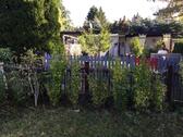 Foto - Grundstück zur Miete in Jena