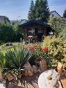 Foto - Haus freistehend mit Traumgarten Münchner Osten mit AB-Anschluß