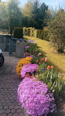 Foto - Einfamilienhaus in Pretzfeld zum Kaufen