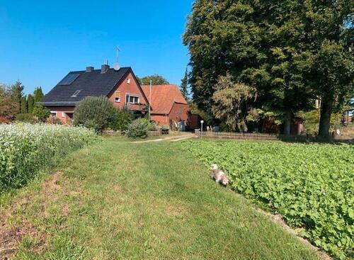 Foto - *Großes EinfamilienhausResthof Bassum Nienstedt zu verkaufen*