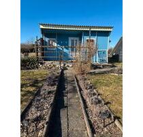 Kleingarten im Verein abzugeben - Großröhrsdorf