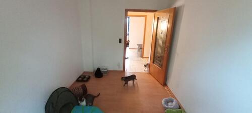 Foto - 3.5 Zimmer Dachgeschoßwohnung zur Miete in Hamm