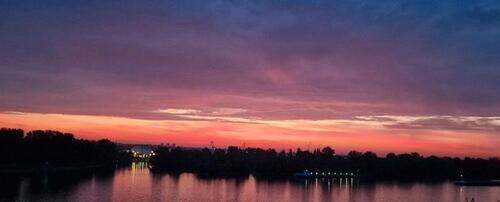 Foto - Exklusiver Rheinpanoramablick in Mainz