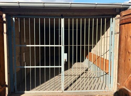 Foto - andere zur Miete in Königs Wusterhausen