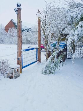 Foto - Bauernhaus, Landhaus zum Kaufen in Genthin