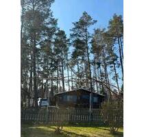 Ferienhaus am See - 105.000,00&nbsp;EUR Kaufpreis, ca.&nbsp; 45,00&nbsp;m&sup2; in Sassenburg (PLZ: 38524)