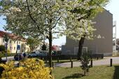 Foto - Etagenwohnung in Neubrandenburg
