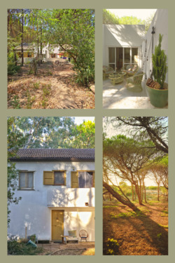 Foto - andere in Bochum