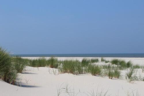Foto - Strandnahe Ferienwohnung auf Ameland - Ihr Urlaub an der Nordsee