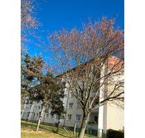 3-Z.Wohnung mit Balkon und Sonnenuntergang zu vermieten - Oschatz