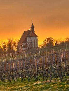 Foto - Wohnen inmitten der Weinberge! - 1.295,00&nbsp;EUR Kaltmiete, ca.&nbsp; 165,00&nbsp;m&sup2;