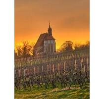 Wohnen inmitten der Weinberge! - 1.295,00&nbsp;EUR Kaltmiete, ca.&nbsp; 165,00&nbsp;m&sup2; in Volkach (PLZ: 97332)