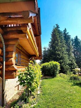 Foto - 6 Zimmer Einfamilienhaus in Malborn