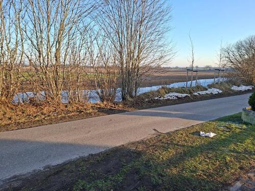 Foto - 5 Zimmer Einfamilienhaus zum Kaufen in Steinfeld