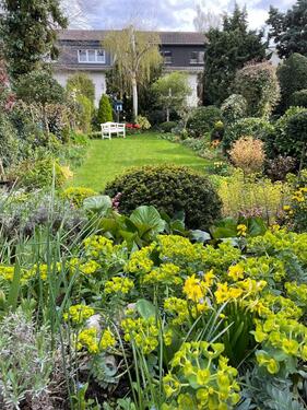 Foto - Reihenhaus in Alfter zum Kaufen