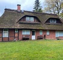 Idyllisches Haus mit Reetdach in Tewel. - Neuenkirchen