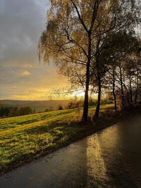 Foto - Etagenwohnung zur Miete in Wissen