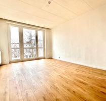 Helle 2-Zimmer-Wohnung in der Fichtestraße - EBK möglich - Magdeburg Leipziger Straße