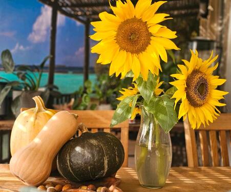 Foto - Traum Eigentum Wohnung in Duisburg Süd nähe Sechseenplatte Privat