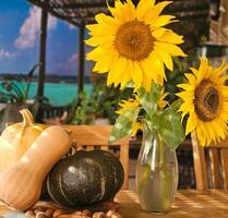 Traum Eigentum Wohnung in Duisburg Süd nähe Sechseenplatte Privat