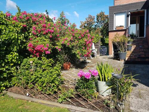 Foto - 4 Zimmer Erdgeschoßwohnung in Schüttorf