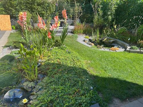 Foto - Doppelhaushälfte in Haltern am See zum Kaufen