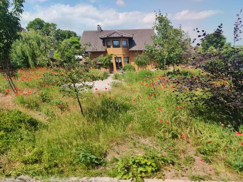 Foto - 6 Zimmer Einfamilienhaus in Schwaan