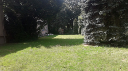 Foto - Etagenwohnung zur Miete in Gelsenkirchen