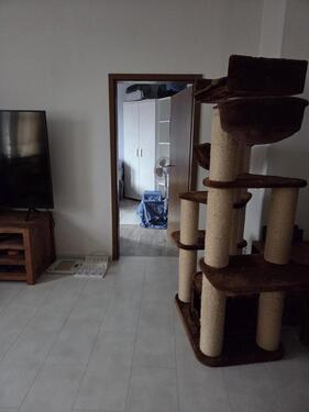 Foto - Etagenwohnung zur Miete in Stadtroda