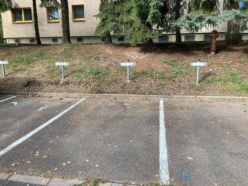 Foto - andere zur Miete in Döbeln