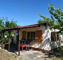 Grüne, sonnige Oase Schrebergarten Pachtgarten Haus - Dessau-Roßlau