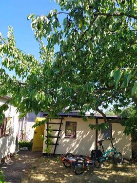 Foto - Grundst&uuml;ck zur Miete in Dessau-Roßlau