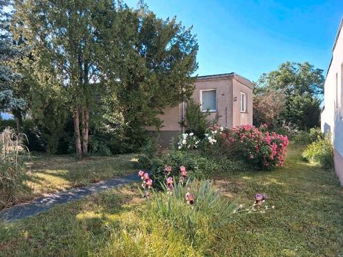 Foto - 4 Zimmer Einfamilienhaus zum Kaufen in Mühlberg/Elbe