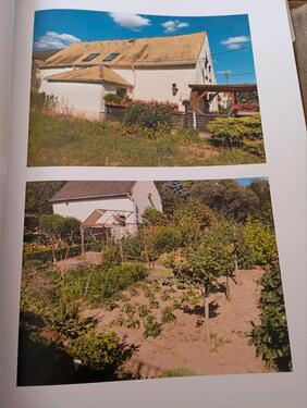 Foto - Einfamilienhaus zum Kaufen in Grimma