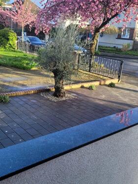 Foto - EFH mit 180m2 (Wf+Nf) saniert und vollmöbliert mit Garten, Pool