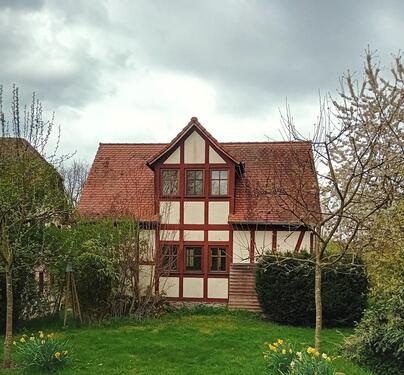 Foto - 3 Zimmer Einfamilienhaus zur Miete in Linden