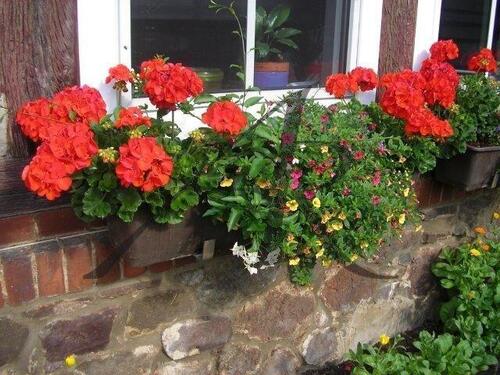 Foto - Superschöne altengerechte 3-Zimmer-Wohnung im Stendaler Villenviertel