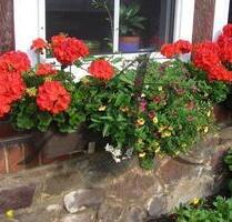 Superschöne altengerechte 3-Zimmer-Wohnung im Stendaler Villenviertel