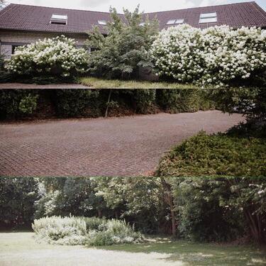 Foto - Einfamilienhaus in Kalletal zum Kaufen