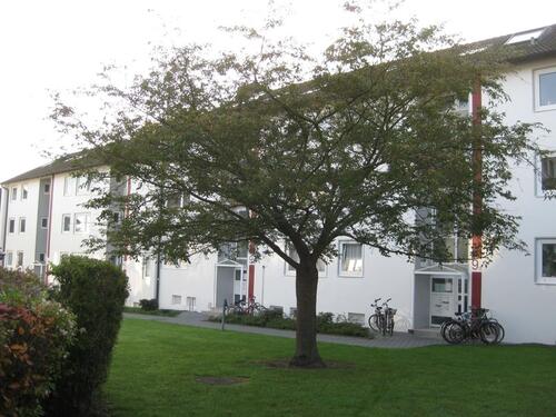 Foto - Etagenwohnung zum Kaufen in Seevetal