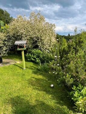 Foto - 1.5 Zimmer Etagenwohnung zur Miete in Welzheim