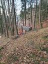 Foto - Waldgrundstück Rodalben - 4.760,00&nbsp;EUR Kaltmiete, ca.&nbsp; 0,00&nbsp;m&sup2;