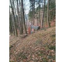 Waldgrundstück Rodalben - 4.760,00&nbsp;EUR Kaltmiete, ca.&nbsp; 0,00&nbsp;m&sup2; in Rodalben (PLZ: 66976)