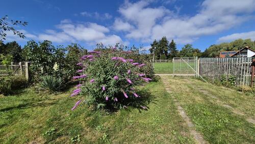 Foto - Grundst&uuml;ck zur Miete in Gera